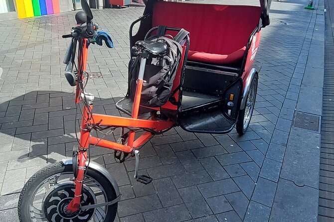 1 Hour Private Amsterdam Rickshaw Tour - Pickup from hotels and cruise ports: Amsterdam logistics handled for you