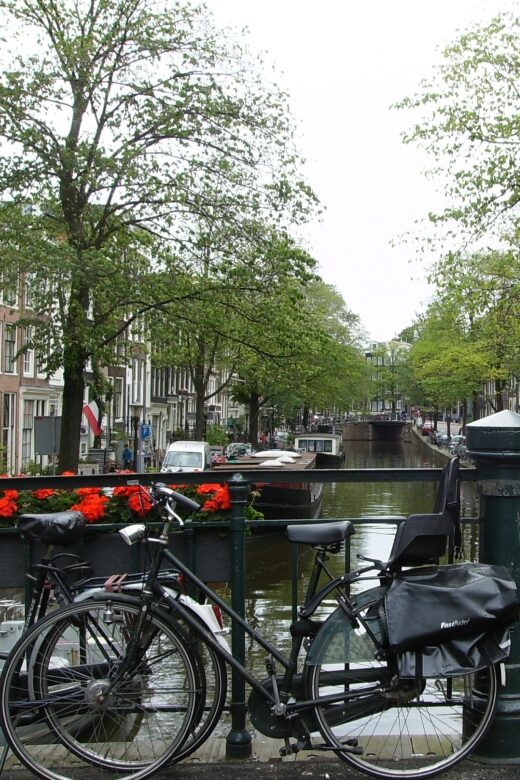 2.5-Hour Amsterdam Sightseeing Tour by Bike - Vondelpark by bike: a green pause that still stays efficient
