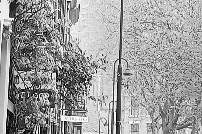 2-Hour Walking Tour in Gouda All inclusive - Turfmarkt pass-by: canal history in a compact slice of town