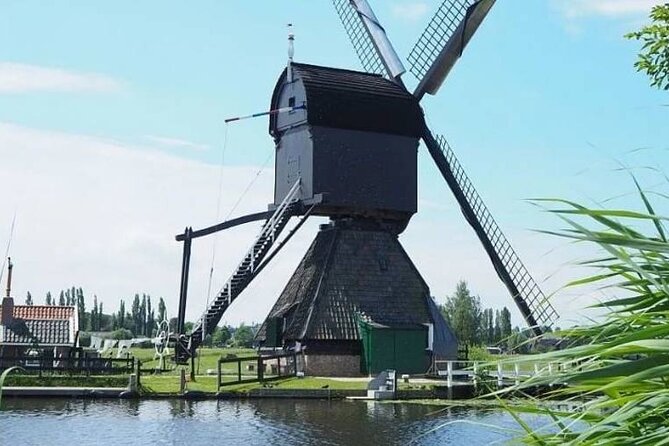 8 hour Walking and Boat Tour to Rotterdam and Kinderdijk - Erasmus, Markthal’s Ceiling-Style Market, and the 3/4 Problem at Kijk-Kubus