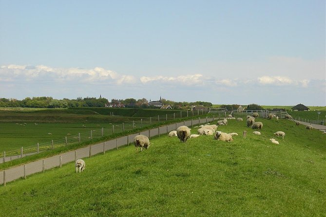 A day of solex riding on Texel - Where you’ll need to slow down: Solex limits on Texel