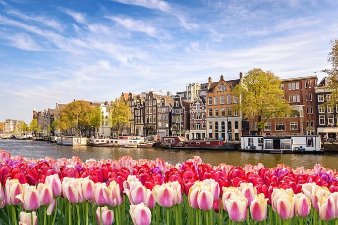 Airport Transfer: Schiphol Airport AMS to Amsterdam by Luxury Van - Waiting for Flights: The 60-Minute Buffer That Saves Your Plans