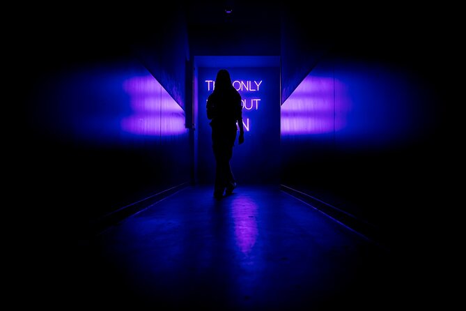 AMAZE Amsterdam: Immersive Audiovisual Experience - Timing tips: how to plan it in a tight winter itinerary