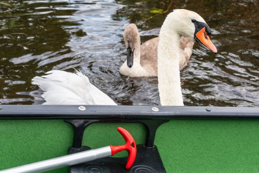 Amsterdam: 2-Hour Guided Canoe Trip - Who This Trip Is Best For (And Who Should Skip It)