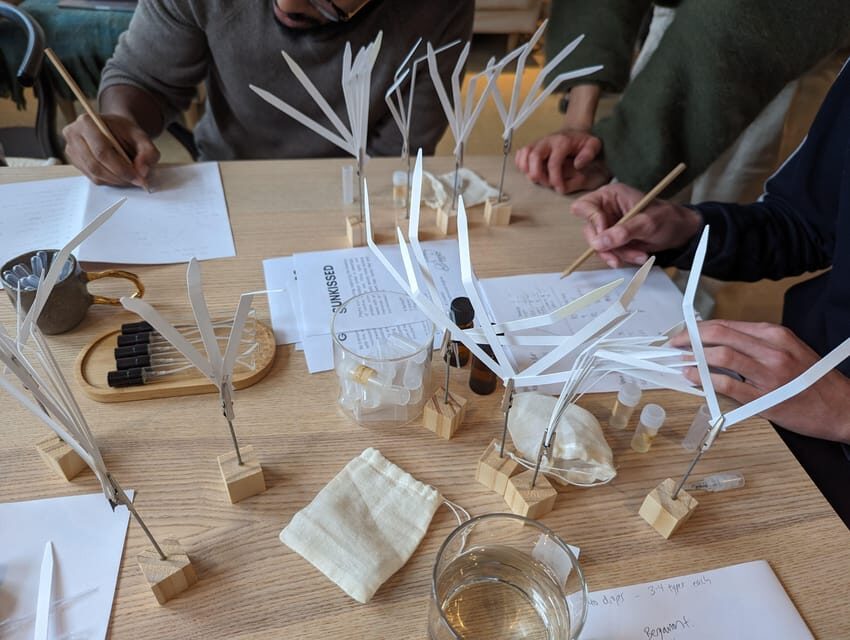 Amsterdam: 3-Hour Mindful Perfume-Making Workshop - Best Fit: Who This Workshop Suits (and Who It Doesn’t)