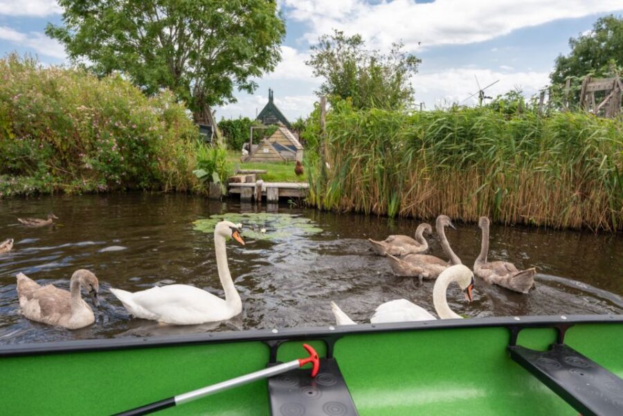 Amsterdam 5-Hour Guided Canoe Trip in the Wetlands - Price and value: what you’re really paying for at $105