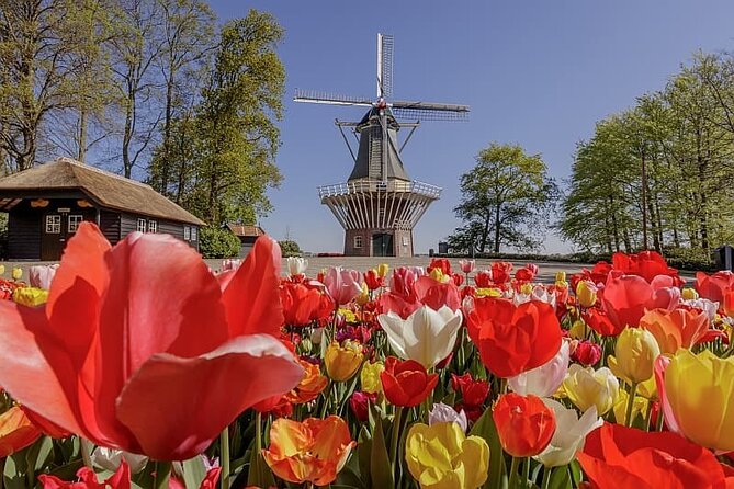 Amsterdam Airport (AMS) Transfer to Amsterdam/Rotterdam/Keukenhof - Price and Value: Is $35.47 a Smart Deal?