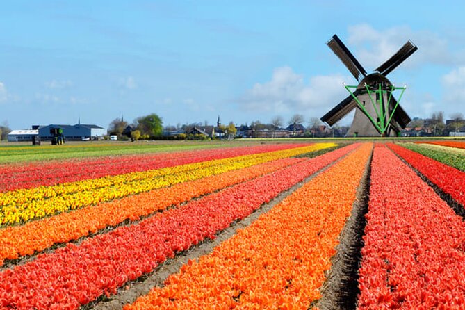 Amsterdam Airport (AMS) Transfer to Amsterdam/Rotterdam/Keukenhof - What Can Go Wrong (and How You Avoid It)