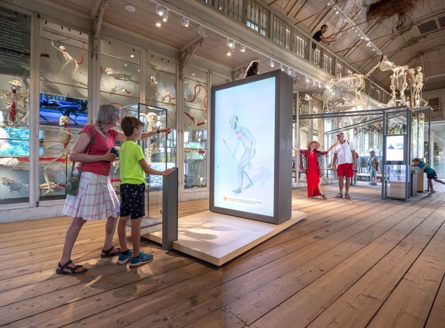 Amsterdam: ARTIS-Groote Museum Entry Ticket - Free Audio Tours: Make the Labels Optional