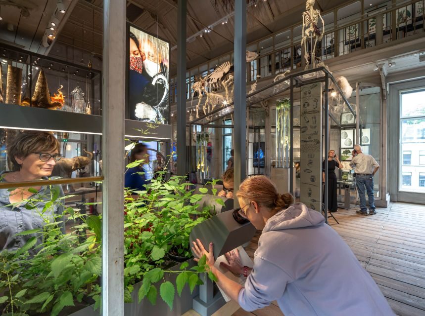 Amsterdam: ARTIS-Groote Museum Entry Ticket - Scent Tunnel and Interactive Machines: Where It Gets Memorable