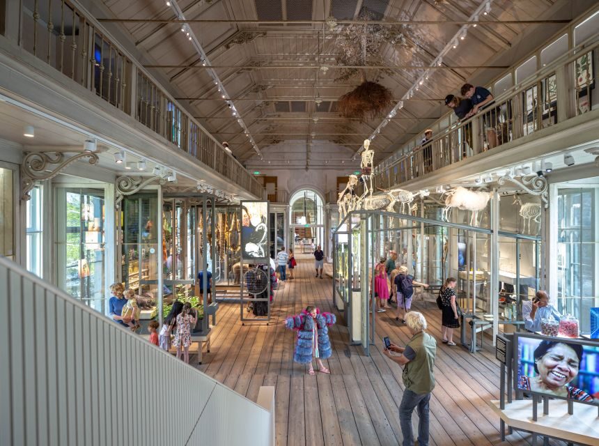 Amsterdam: ARTIS-Groote Museum Entry Ticket - Value Check: Is a $21 Ticket Reasonable?