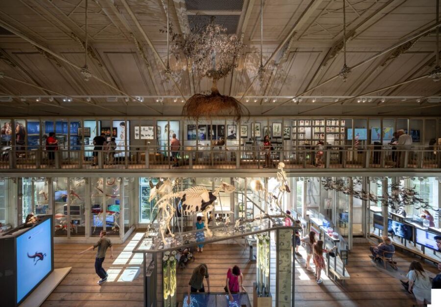 Amsterdam: ARTIS-Groote Museum Entry Ticket - How the Interactive Ecosystem Experience Works