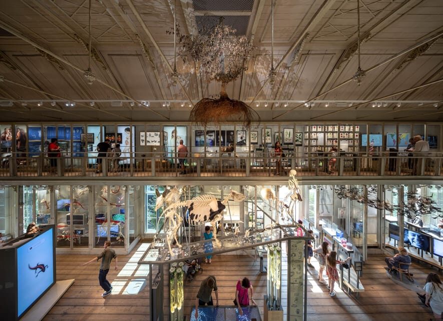Amsterdam: ARTIS Royal Zoo and ARTIS Groote Museum Ticket - The after-hour walk: when the park gets calmer