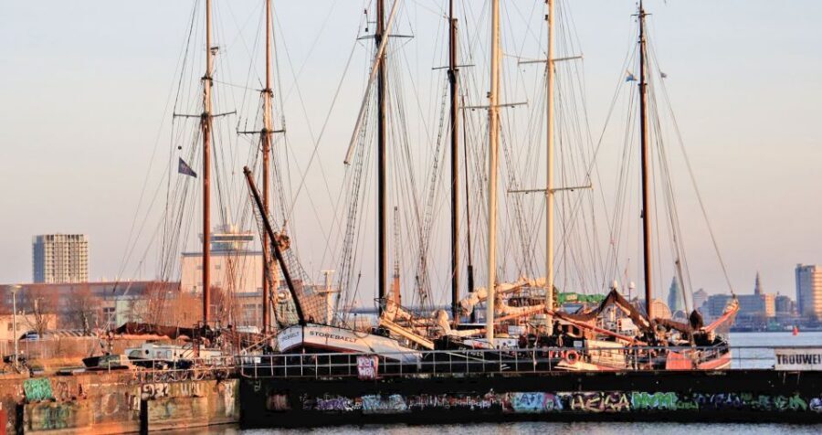 Amsterdam: Bike Tour (Noord) in German or English - Vogeldorp: getting the neighborhood mood before the industrial hits