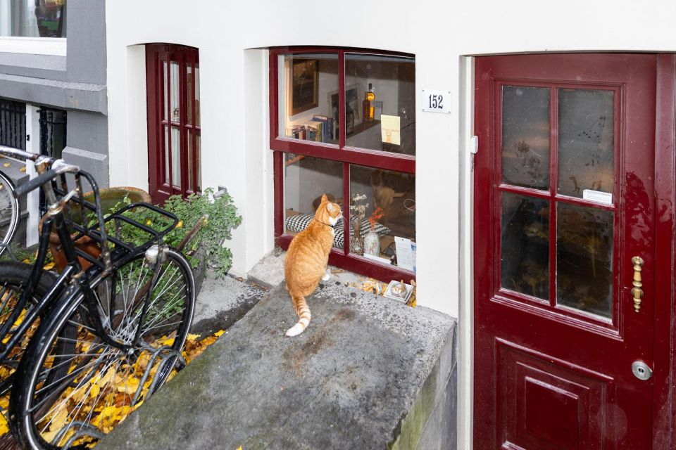Amsterdam Central Walking Tour - Key things worth knowing before you go