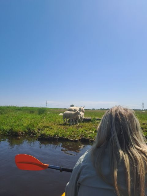 Amsterdam: Countryside Bike and Kayak Guided Tour - Key highlights worth choosing this tour for