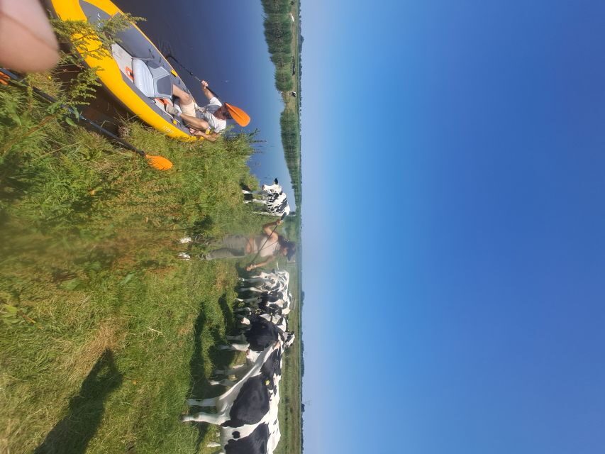 Amsterdam: Countryside Bike and Kayak Guided Tour - Price Value of $84 for Bike, Kayak, and Gear