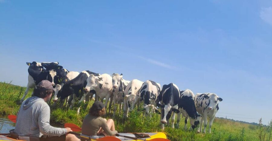 Amsterdam: Countryside Bike and Kayak Guided Tour - A Bike-and-Kayak Escape That Feels Like Real North Holland