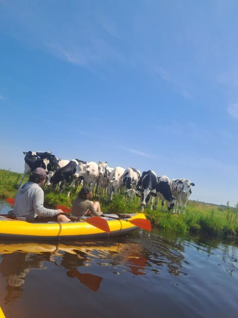 Amsterdam: Countryside Bike and Kayak Guided Tour - Kayaking the Canals: Cows, Sheep, and Easy Safety