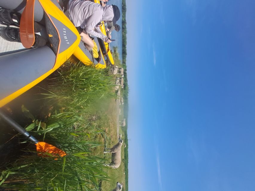 Amsterdam: Countryside Bike and Kayak Guided Tour - Guide, Gear, and Group Size: Why This Stays Low-Stress
