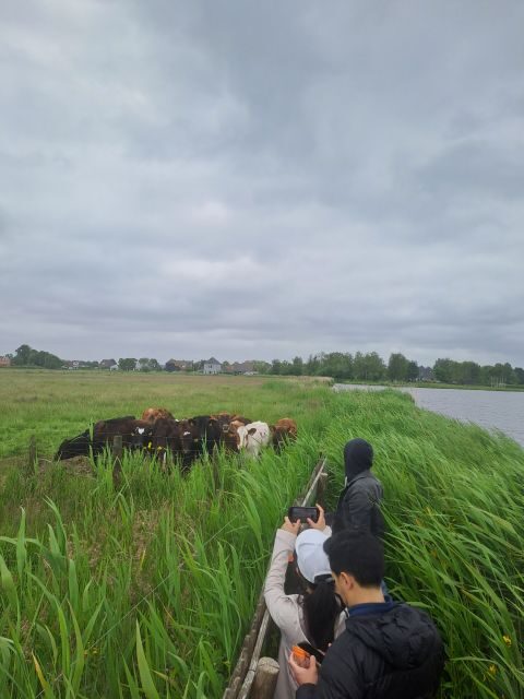 Amsterdam: Countryside Bike and Kayak Guided Tour - Starting at A’DAM Lookout and Crossing by Ferry