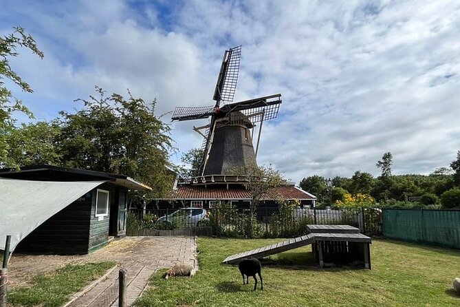 Amsterdam Countryside Bike and Kayak Tour - Why this North Amsterdam ride is a smart antidote to city overload