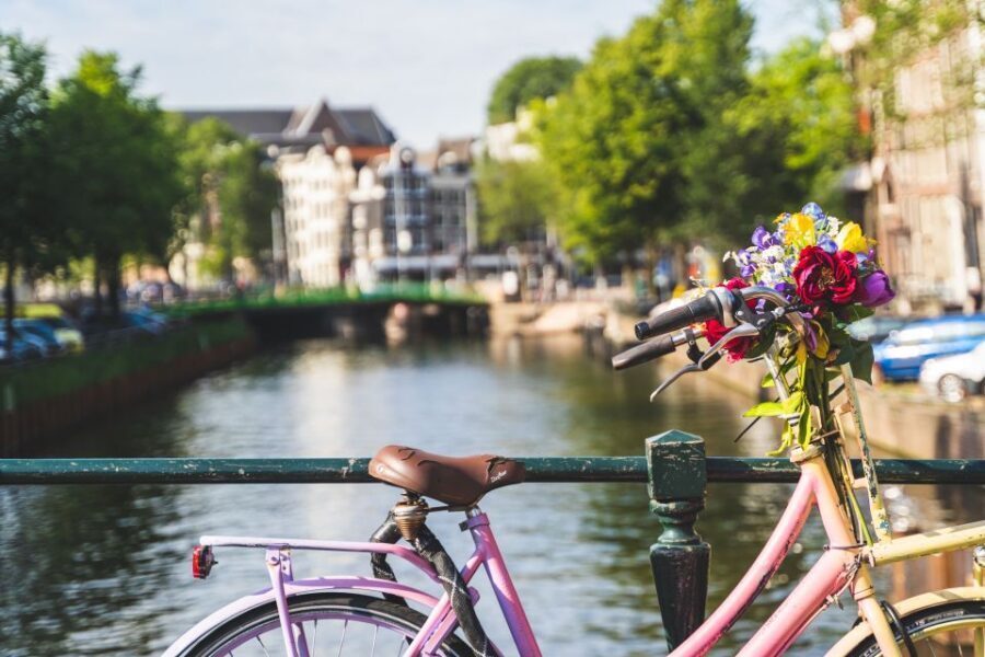 Amsterdam: Countryside Bike Tour - Should You Book This Amsterdam Countryside Bike Tour?