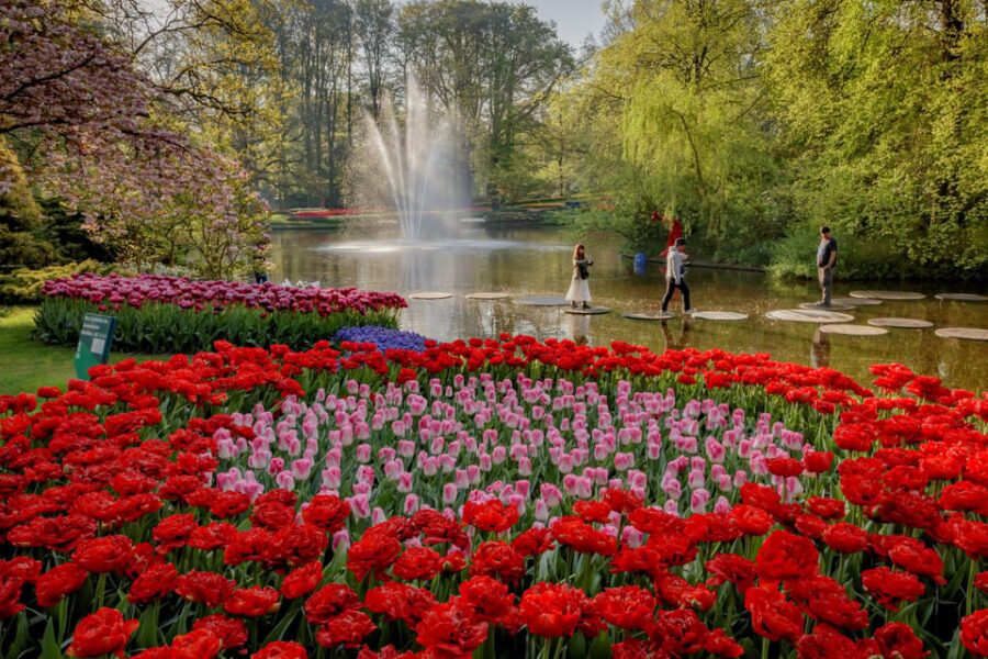 Amsterdam: Day Tour Keukenhof and Zaanse Schans Windmills - Cheese and clogs: the included Dutch craft you’ll actually remember