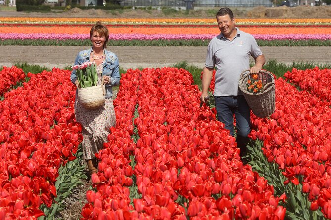Amsterdam: Day trip to Tulip Farm, Keukenhof + Windmill Cruise - De Tulperij tulip farm: meeting the people who grow the flowers