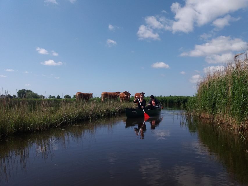 Amsterdam: Dutch Countryside Sunset Canoe Tour - Picnic by the lake: the calm pause that makes the sunset work