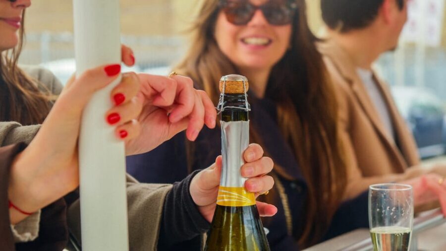 Amsterdam: Dutch Prosecco Party Bike - What You Actually Get for $37: Bubbly, Bike, and a Driver
