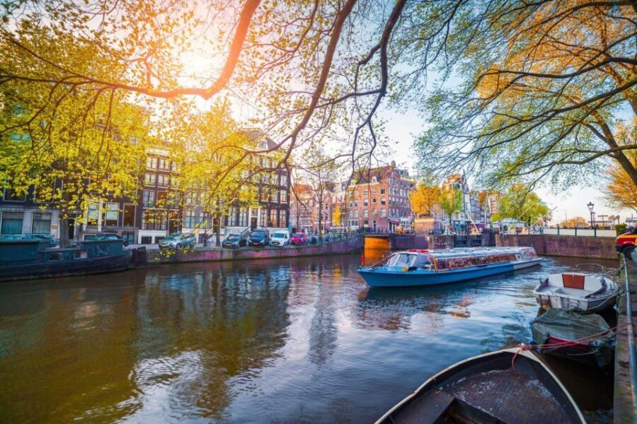 Amsterdam Family Friendly Historical Walking Tour - Dam Square, Royal Palace, and the New Church