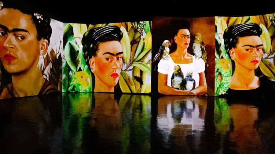 Amsterdam: Frida Kahlo Immersive & Photo Exhibition - Key highlights you’ll notice fast