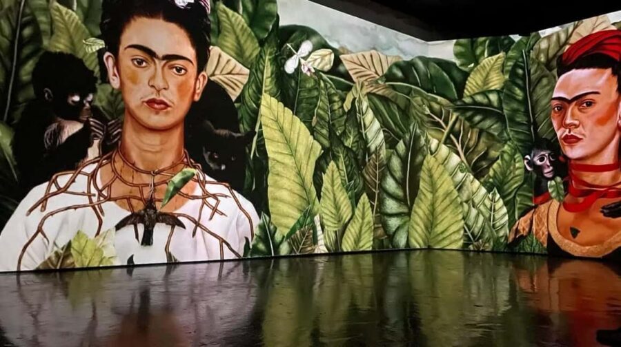 Amsterdam: Frida Kahlo Immersive & Photo Exhibition - Vincent Hall: getting to the Frida Kahlo exhibition near Centraal