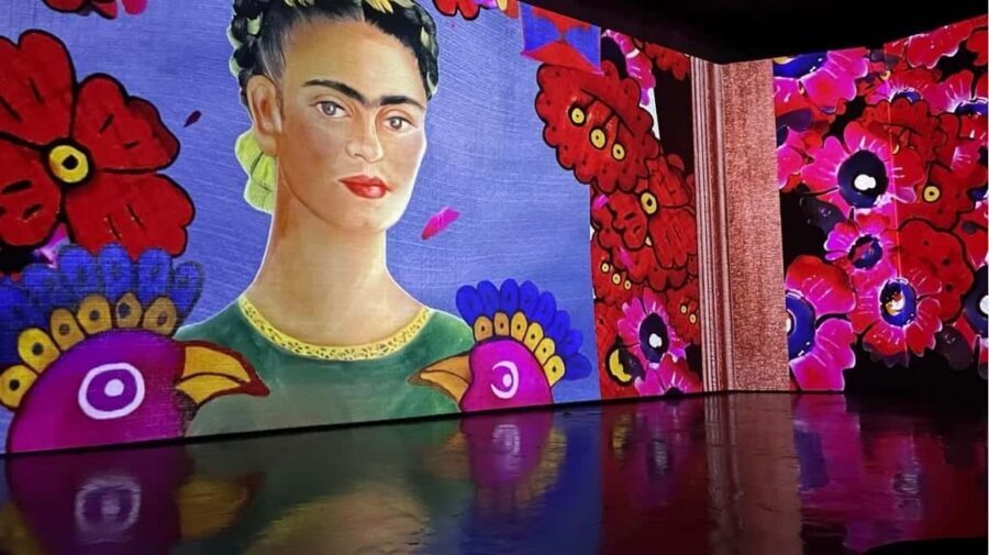 Amsterdam: Frida Kahlo Immersive & Photo Exhibition - The photo and diary sections: what makes it more than a spectacle