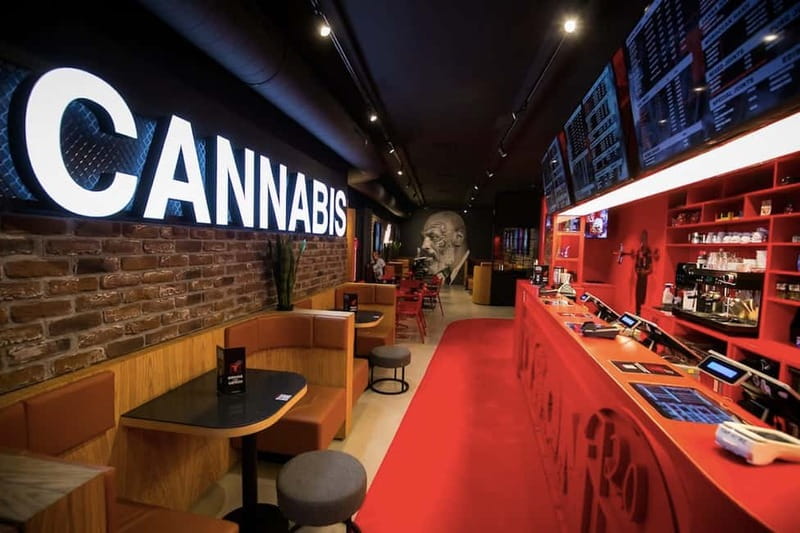 Amsterdam: Ganja Walking Tour - Key highlights worth your time