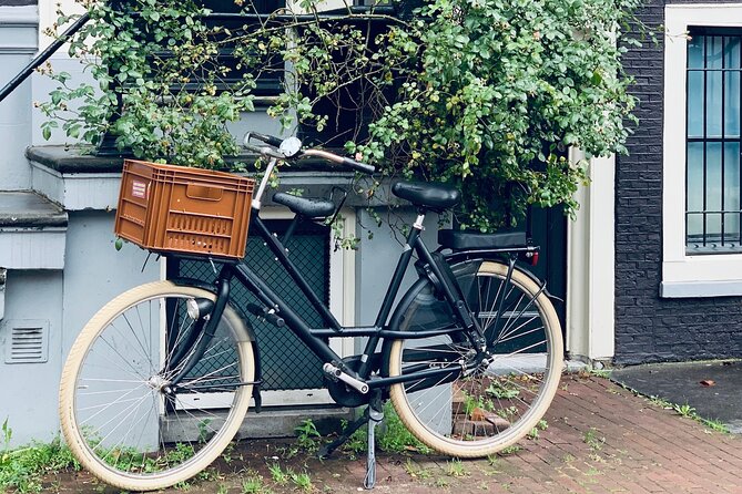 Amsterdam: Hidden Gems Walking Tour in German - Key highlights to look for