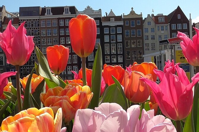 Amsterdam Highlights and Hidden Gems Walking Tour with Fun Guide - Jordaan Walk: Charm, Local Energy, and a Friendly Ending Point
