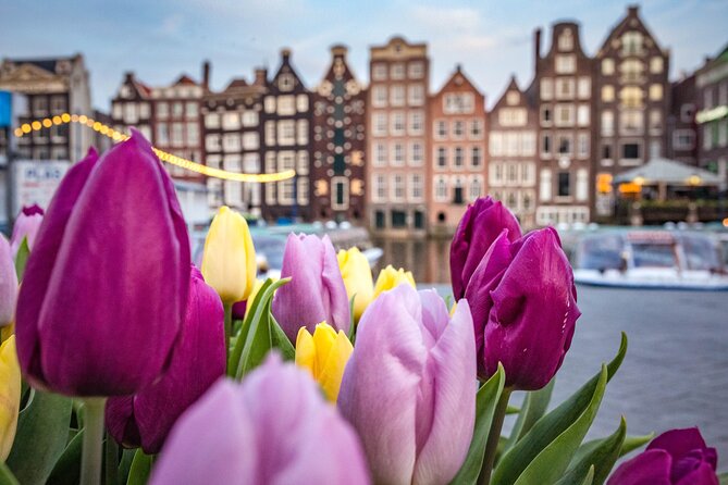 Amsterdam Highlights Walking Tour - Why This Amsterdam Highlights Walk Works
