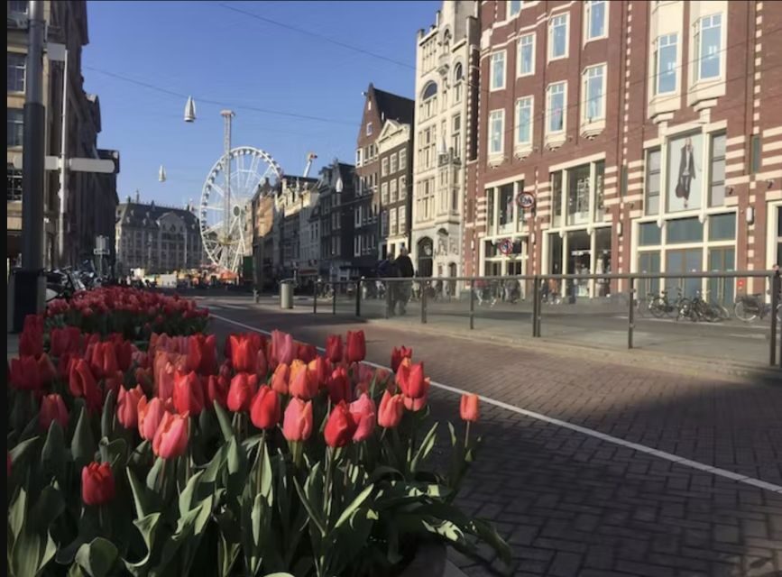 Amsterdam: History, Culture & Hidden Gems Walking Tour - Finishing at Dam Square: the Royal Palace and a city that never stops arguing