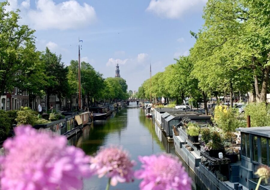 Amsterdam: Jordaan District Tour with a German guide - Noorderkerk and Papeneiland: quieter scenery with smart timing