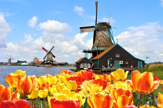 Amsterdam: Keukenhof and Zaanse Schans Windmills Guided Day Trip - The bulbflower area around Lisse: where your photo stop lives or dies