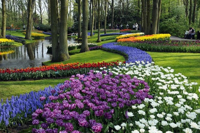 Amsterdam: Keukenhof Entry & Shuttle Bus with Flexible Return - Finding This is Holland: The Ferry Shortcut You’ll Actually Use