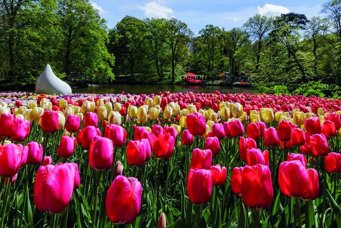 Amsterdam: Keukenhof Entry & Shuttle Bus with Flexible Return - Return to Amsterdam: Flexible Buses With a Few Human Realities