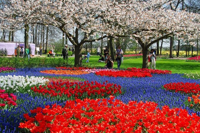 Amsterdam: Keukenhof Entry & Shuttle Bus with Flexible Return - Should You Book This Keukenhof Shuttle Tour?
