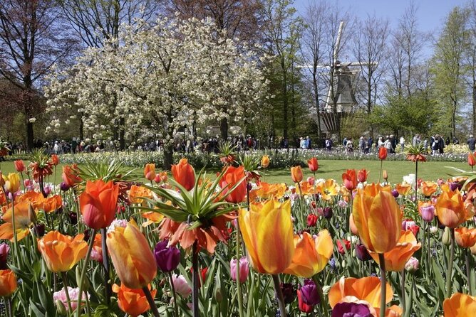 Amsterdam: Keukenhof Entry & Shuttle Bus with Flexible Return - Luxury Shuttle Timing: Tulip Fields and a Real Commute
