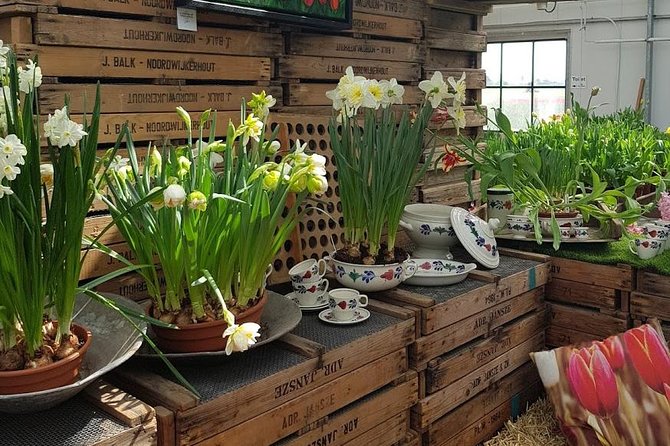Amsterdam : Keukenhof FlowerFarm Privatetour Skip-The-Line ticket - Price and value: why this costs what it costs