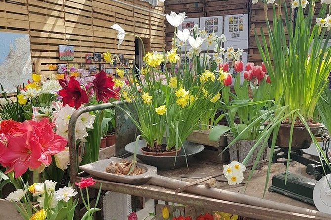 Amsterdam : Keukenhof FlowerFarm Privatetour Skip-The-Line ticket - What’s included, what’s missing, and how to plan your day