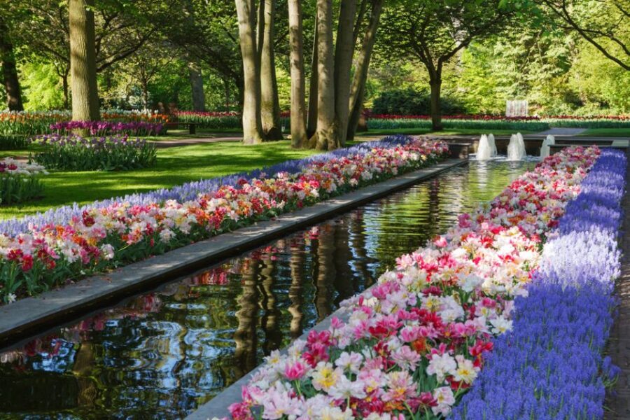 Amsterdam: Keukenhof Gardens Guided Tour Spanish and English - First steps inside: old mills, lakes, fountains, and long promenades
