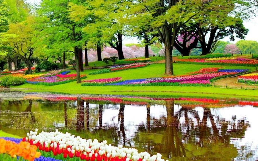 Amsterdam: Keukenhof Gardens Private Sightseeing Tour - The Mercedes Pickup: Comfort, Water, WiFi, and a Real Plan